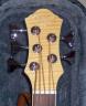 Michael Kelly Phoenix Acoustic 5 String Bass